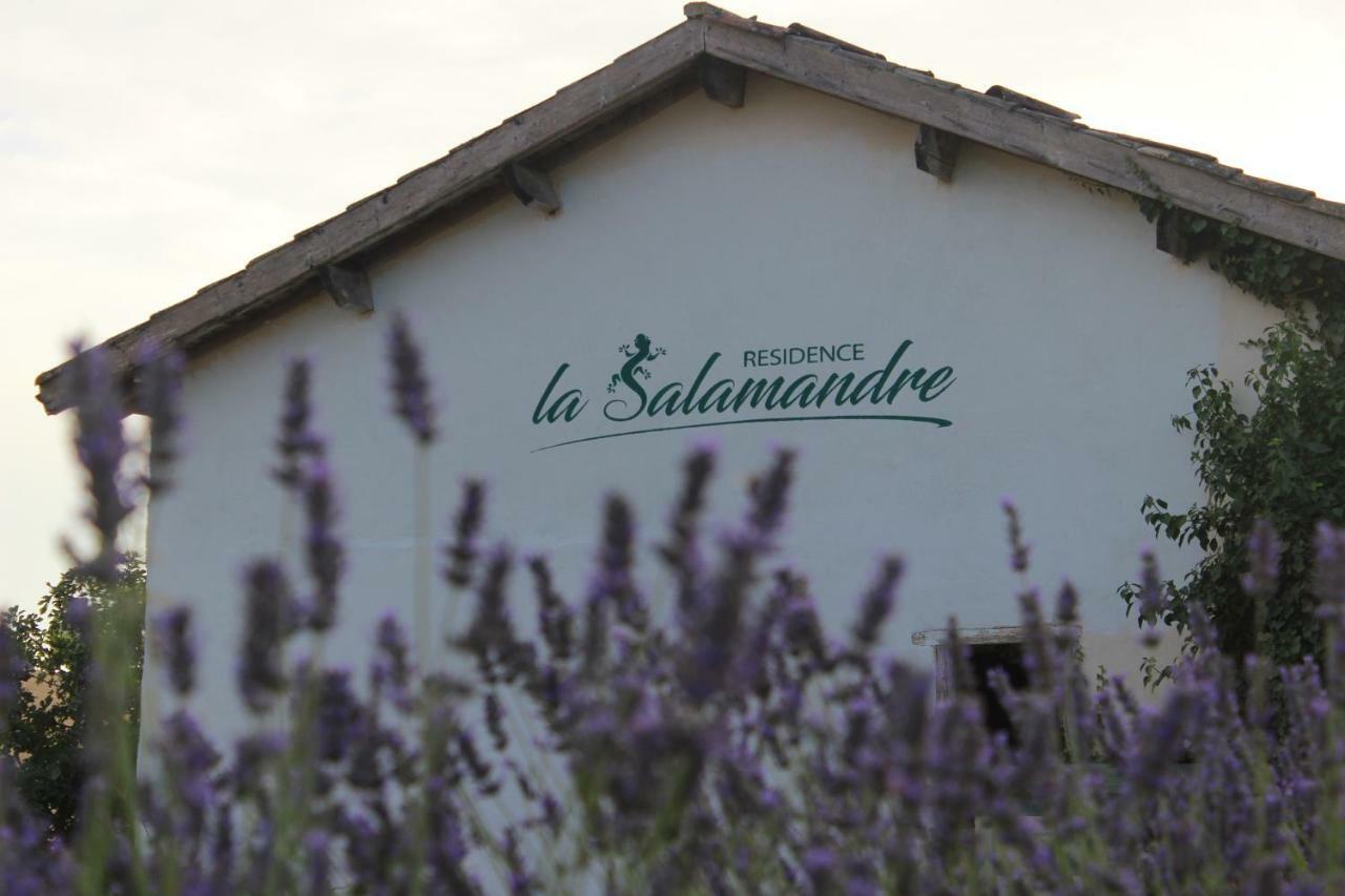 Residence La Salamandre Kamers Rabastens Eksteriør billede